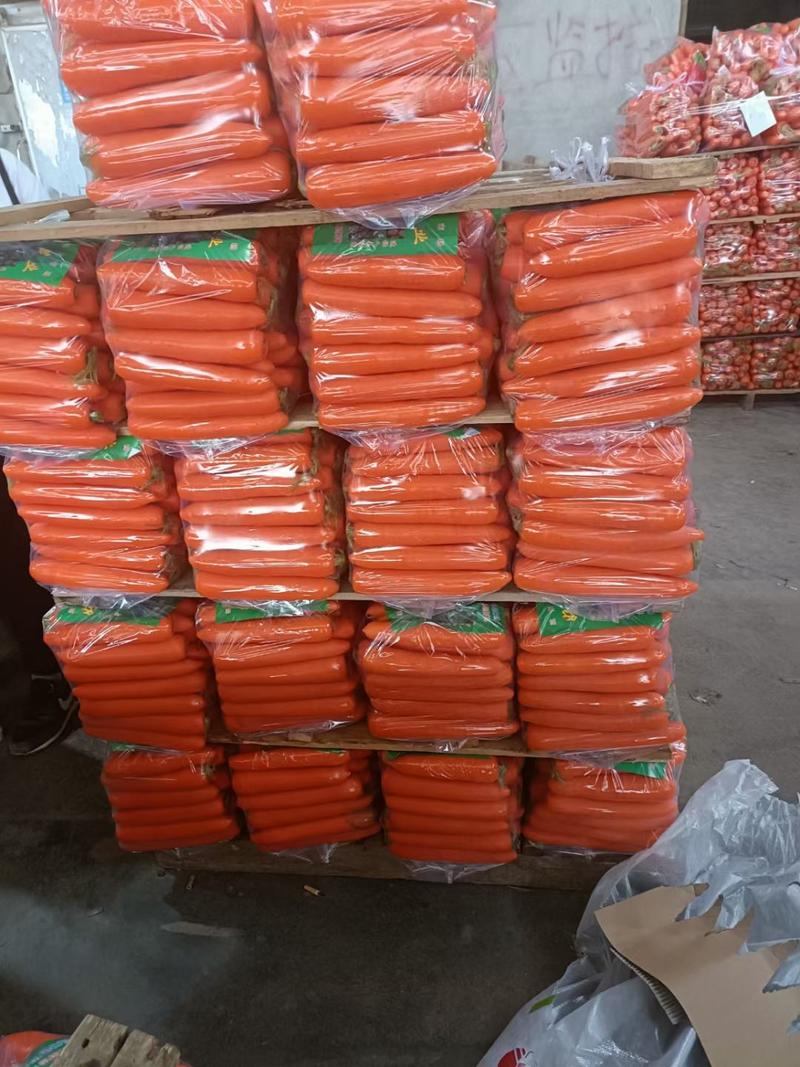 三红胡萝卜产地一手货源电商市场超市加工厂养殖场货