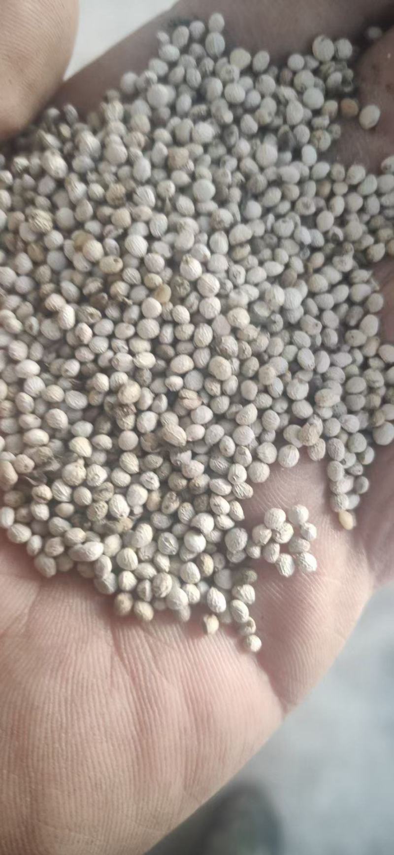 出售各种等级白苏子，出口级别一般净货。实惠货。