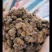 酱油渣，可以做饲料，有机肥料，水份低，喂鱼也可以