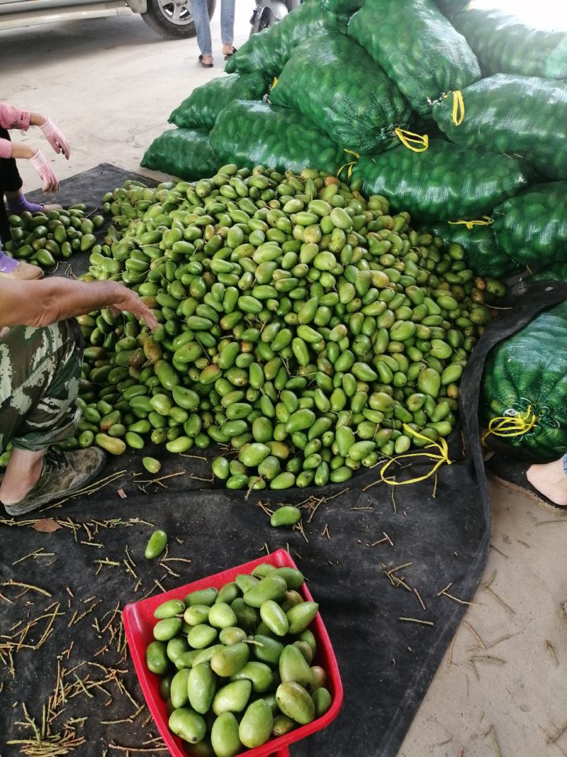 工厂果大量上货