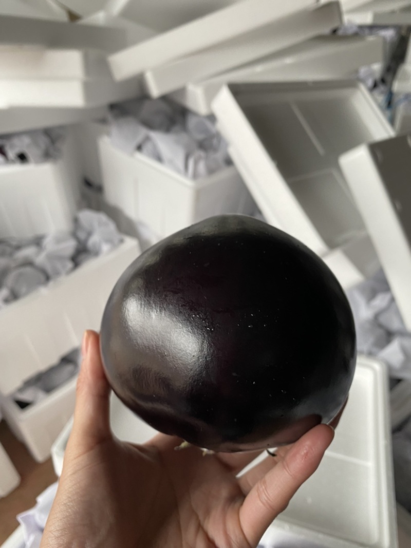精品紫光圆茄