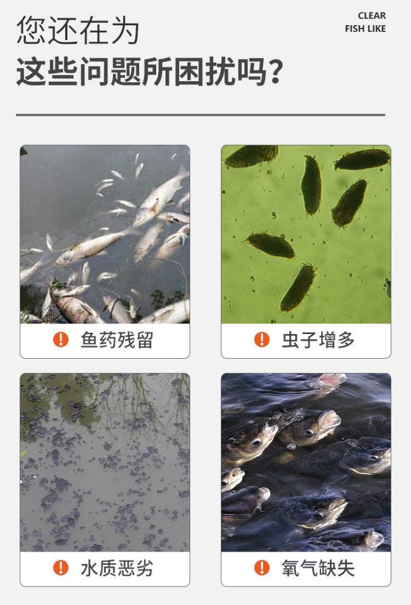 鱼塘捕虫器物理杀虫螃蟹水产养殖捕虫器户外鱼塘诱虫灯喂鱼