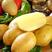 【土豆】黄心土豆，马铃薯精品土豆保质保量，欢迎订购