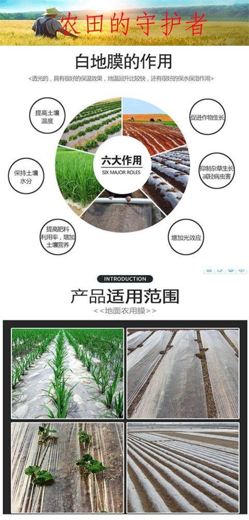 一次性地膜农资白色地膜保温保湿农用吹塑膜混凝土专用工程保