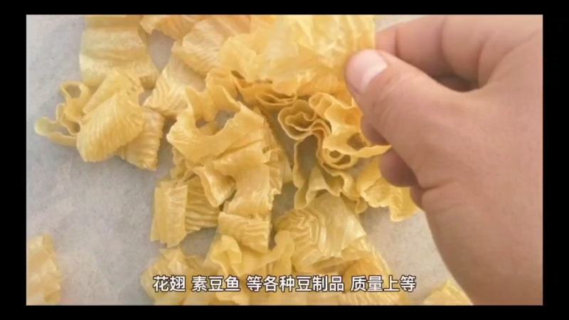 山东人造肉大豆素肉，素豆花，素豆丝，蛋白肉，