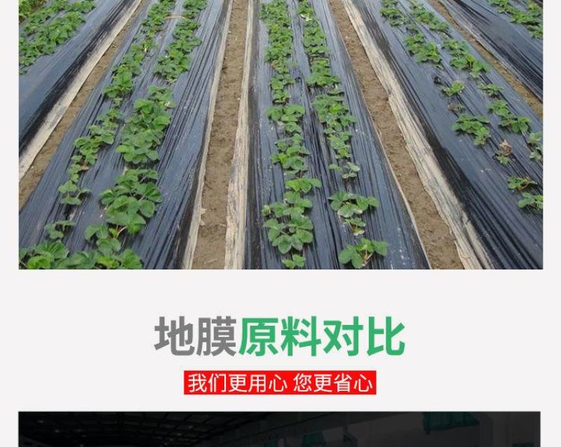 农用种植加厚抗老化黑地膜塑料薄膜除草保温保湿防草大棚果树