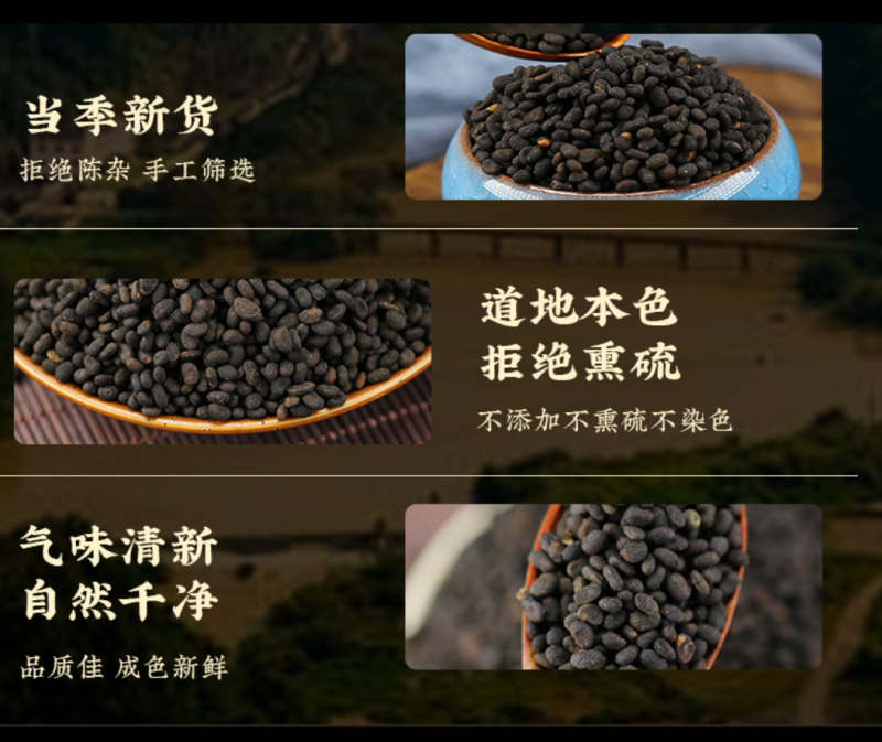 补骨脂故芷过风筛无熏硫干净无杂质地道中药材