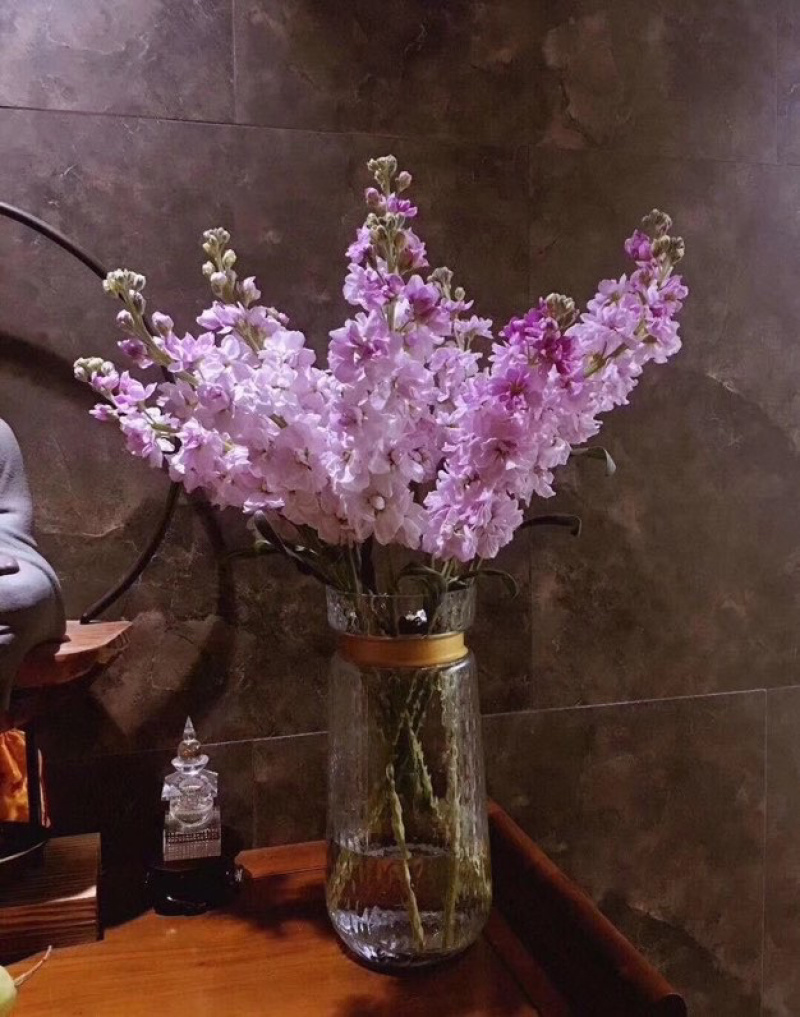 紫罗兰鲜切花紫罗兰鲜花批发颜色齐全云南鲜花直发