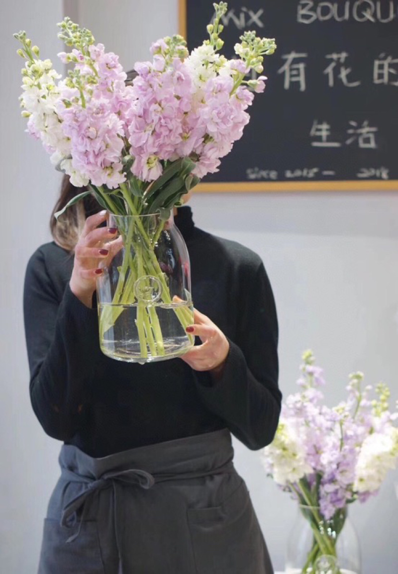 紫罗兰鲜切花紫罗兰鲜花批发颜色齐全云南鲜花直发