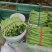 商河扁青芸豆