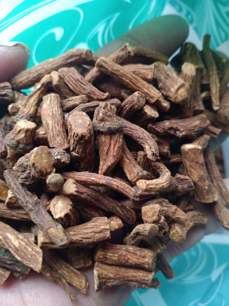 蒲公英根，蒲公英根茶质量保证现货供应，不满意包退货！