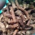 蒲公英根，蒲公英根茶质量保证现货供应，不满意包退货！