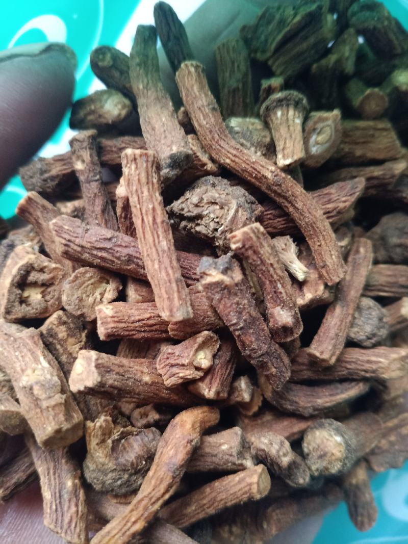 蒲公英根，蒲公英根茶质量保证现货供应，不满意包退货！