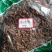 蒲公英根，蒲公英根茶质量保证现货供应，不满意包退货！
