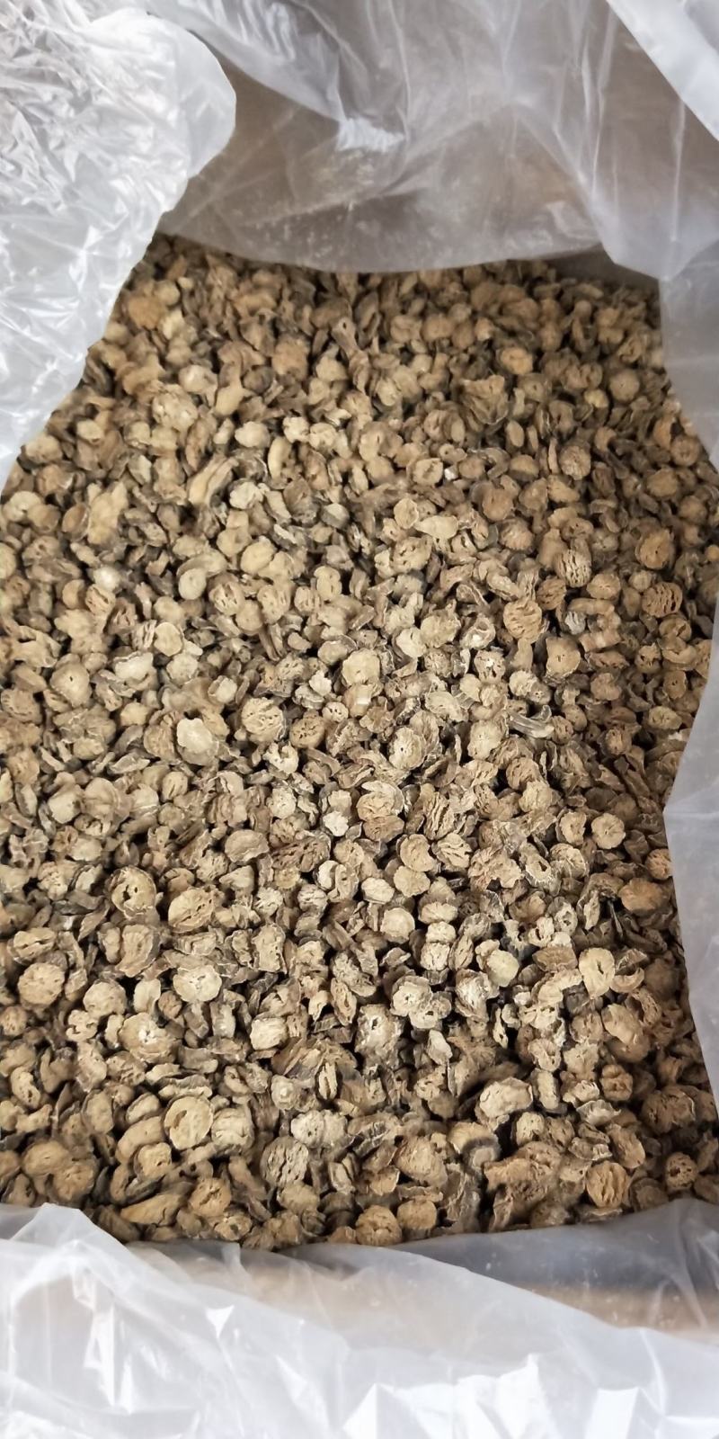 牛蒡根，山东牛蒡，黄金牛蒡茶，牛蒡中圆片