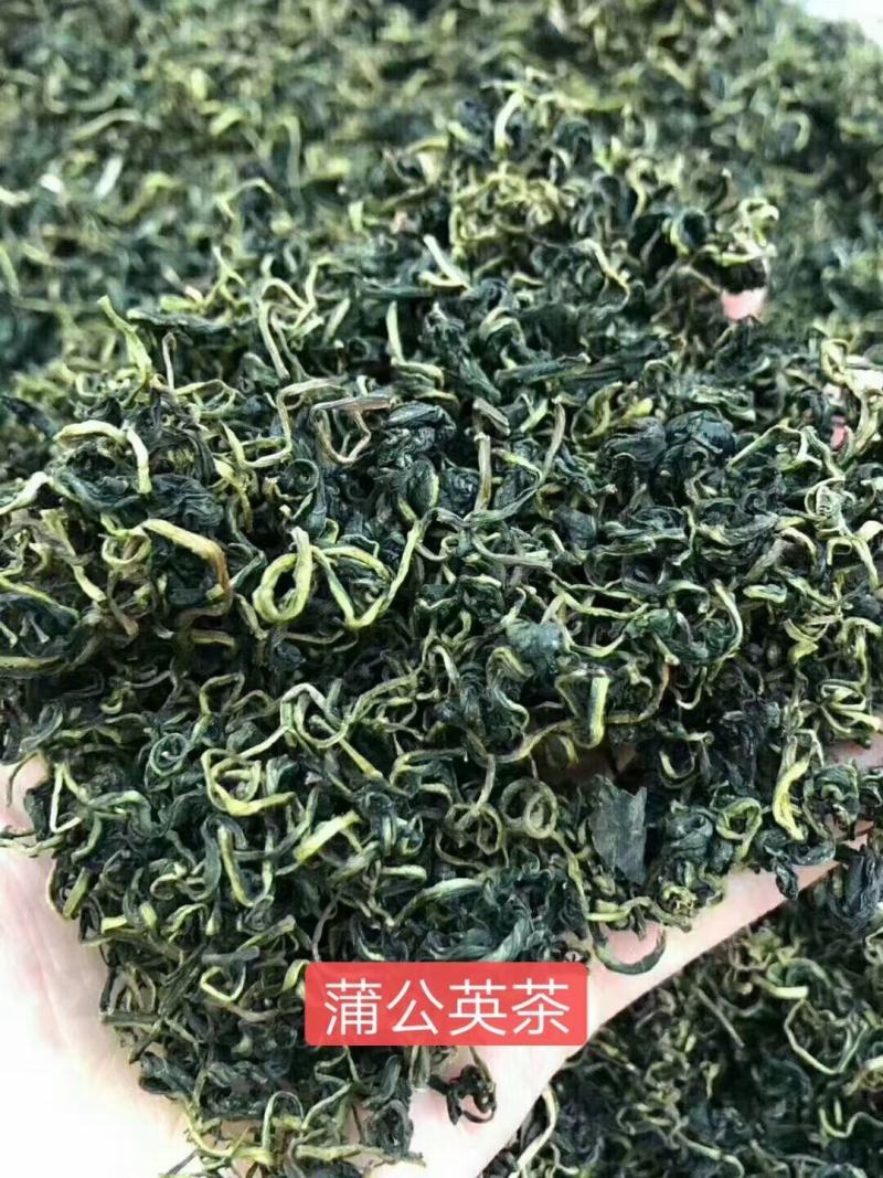 蒲公英茶，婆婆丁，蒲公英叶，蒲公英根，蒲公英