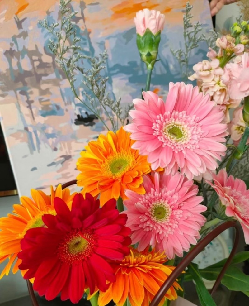 包邮扶郎花非洲菊太阳花非洲菊云南鲜花基地直发