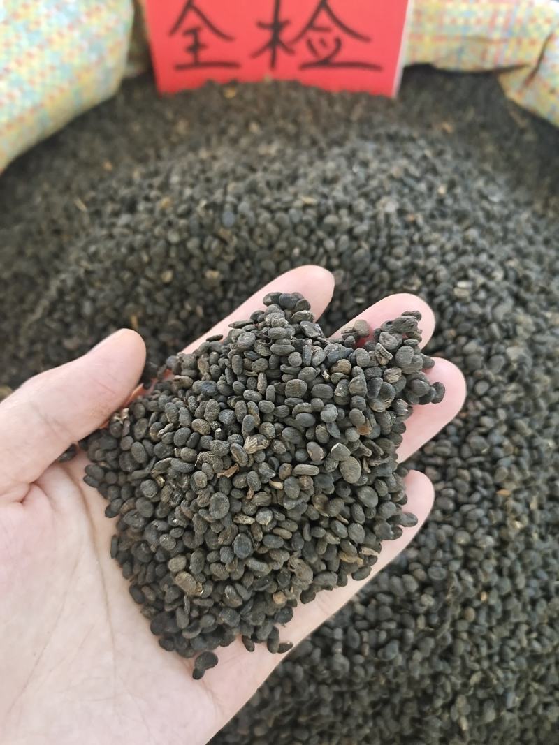 补骨脂故芷过风筛干净无杂质无熏硫地道中药材