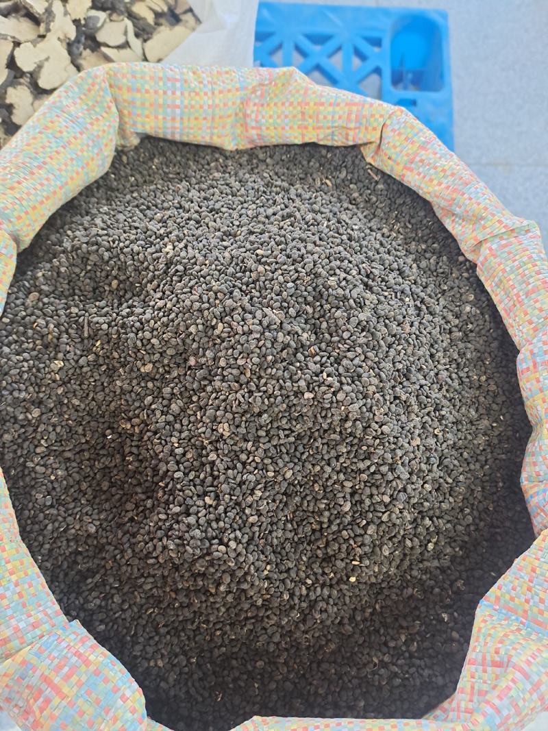 补骨脂故芷过风筛干净无杂质无熏硫地道中药材