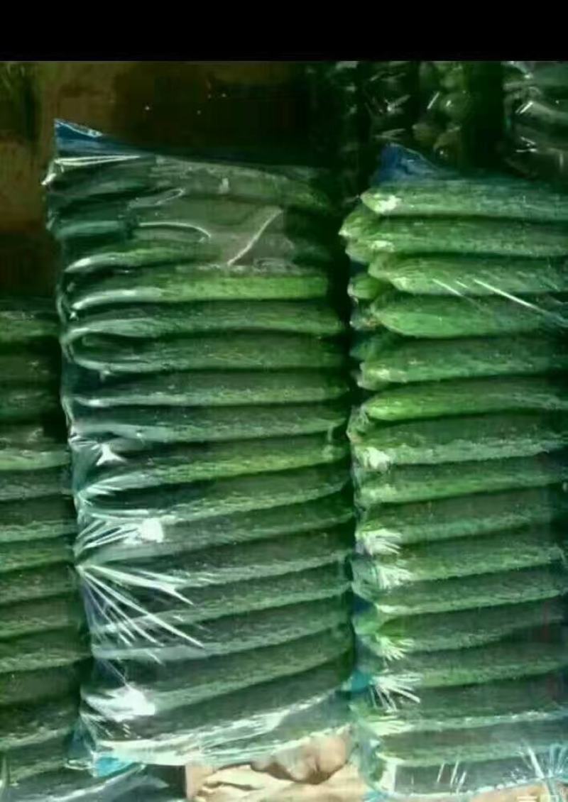 【推荐】鲜花带刺黄瓜大量供货，全国供货顶花带刺