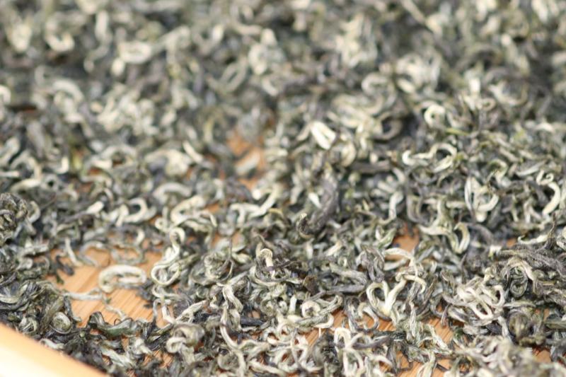 新茶毛尖毛峰2025新茶第一锅上市嫩栗香春天的味道明前春