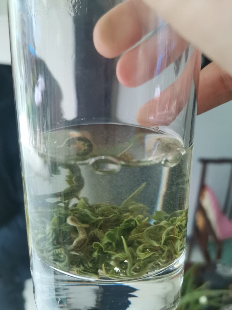 新茶毛尖毛峰2025新茶第一锅上市嫩栗香春天的味道明前春