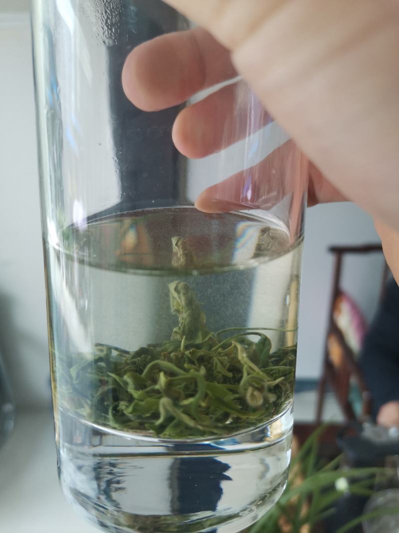 新茶毛尖毛峰2025新茶第一锅上市嫩栗香春天的味道明前春