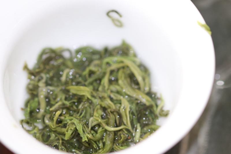 新茶毛尖毛峰2025新茶第一锅上市嫩栗香春天的味道明前春