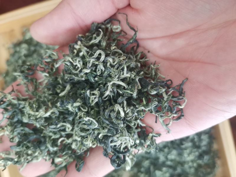 新茶毛尖毛峰2025新茶第一锅上市嫩栗香春天的味道明前春