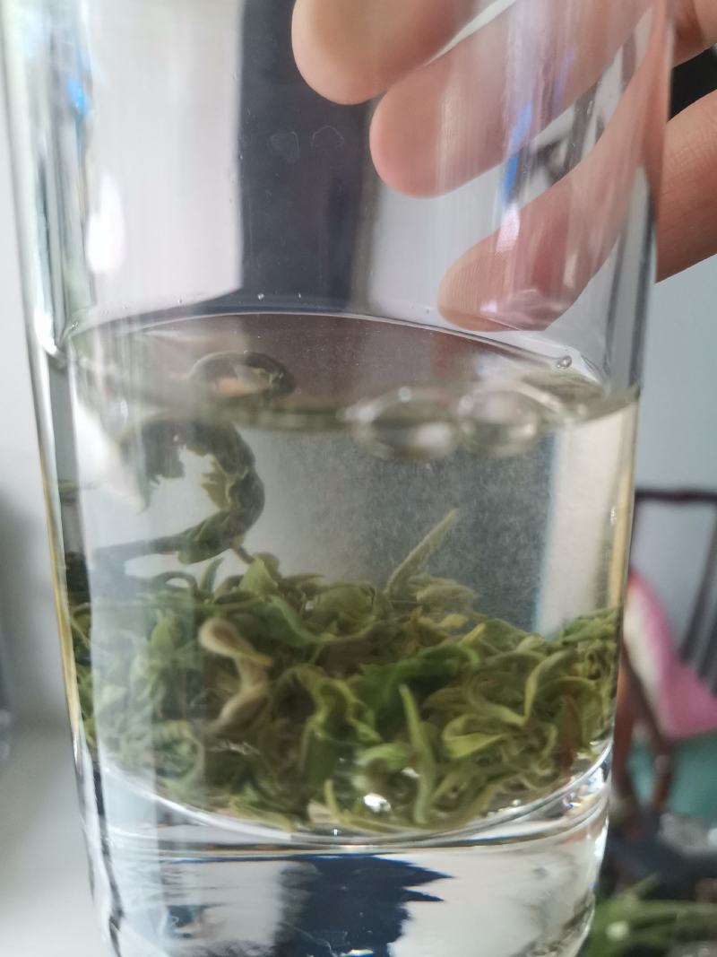 新茶毛尖毛峰2025新茶第一锅上市嫩栗香春天的味道明前春
