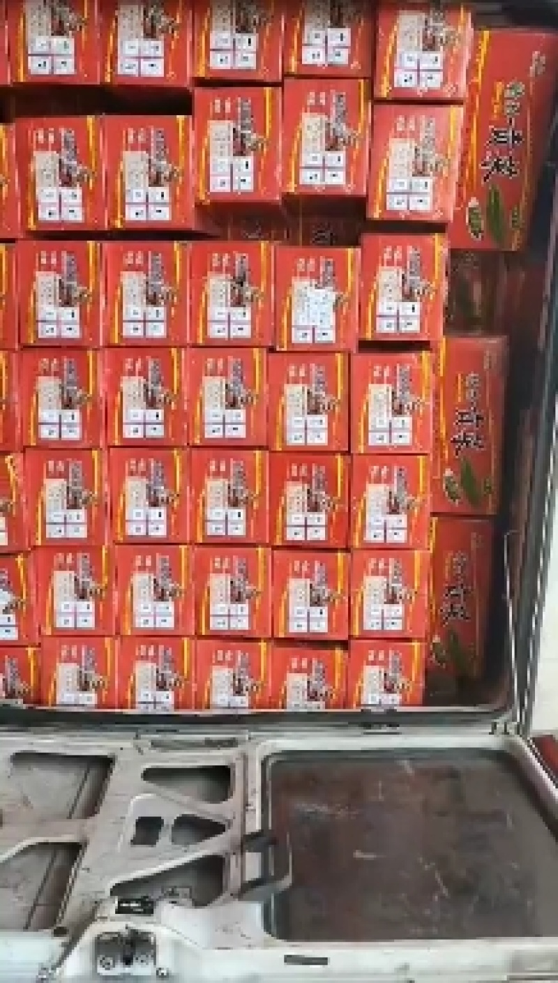 【精品】苔菜质量保证全国发货量大从优规格齐全