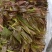 陕西汉中洋县香椿头茬露天红椿芽当季蔬菜