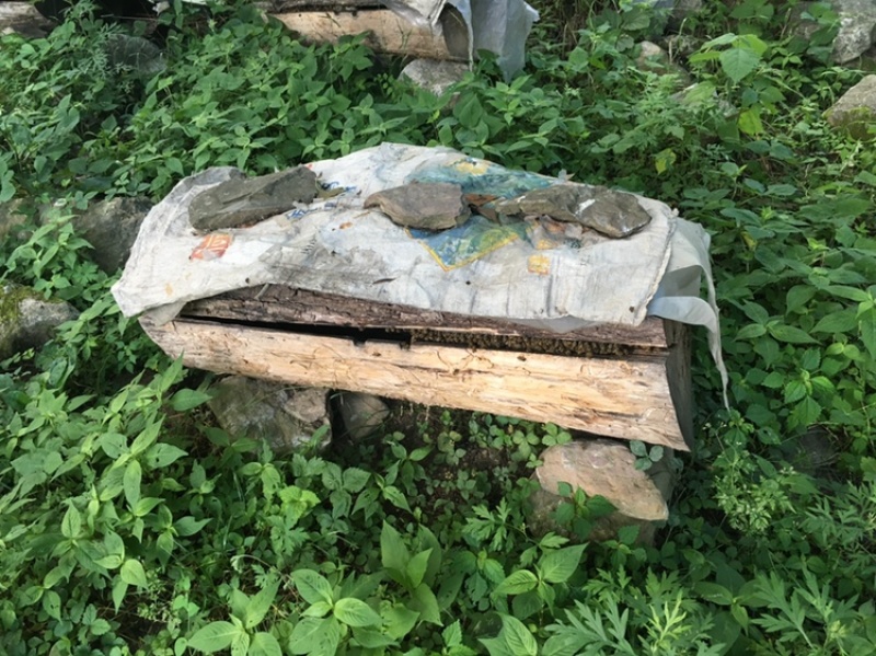 中华蜂深山百花蜜一手货源可视频看货