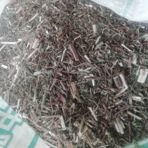 荆芥，荆芥野生全棵切段干品，