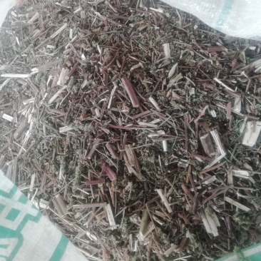 荆芥，荆芥野生全棵切段干品，