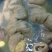 新鲜生马肠马大肠马肚马胃马板肠马小肠下水生马肉包邮