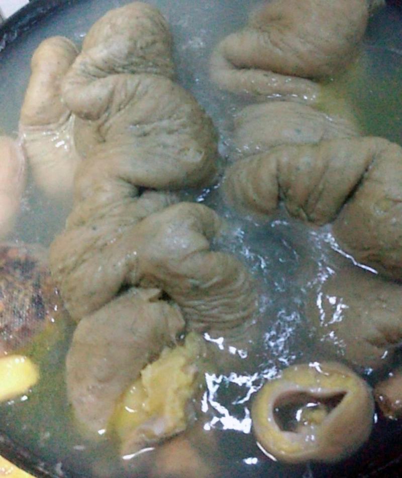 新鲜生马肠马大肠马肚马胃马板肠马小肠下水生马肉包邮