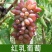 阳光玫瑰葡萄树苗嫁接正宗无核阳光十三葡萄苗地栽盆栽无籽葡