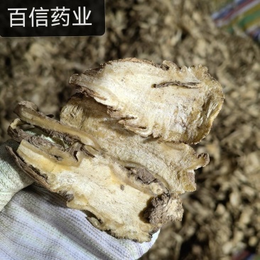 当归头片产地甘肃今年新货实图拍摄量大从优欢迎选