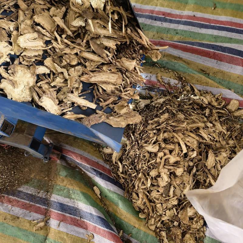 当归头片产地甘肃今年新货实图拍摄量大从优欢迎选