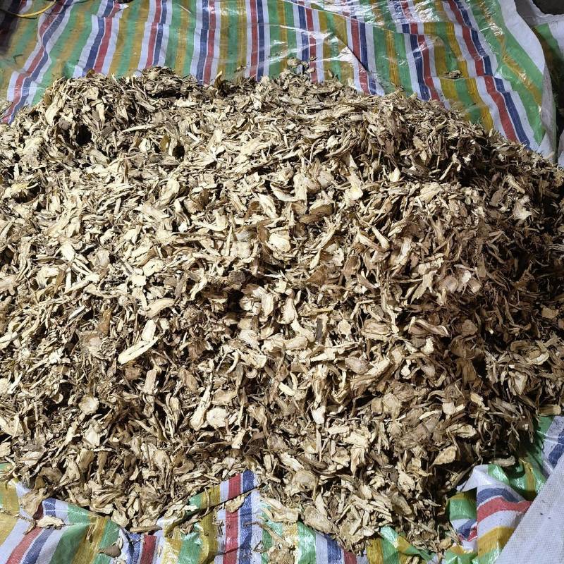 当归头片产地甘肃今年新货实图拍摄量大从优欢迎选