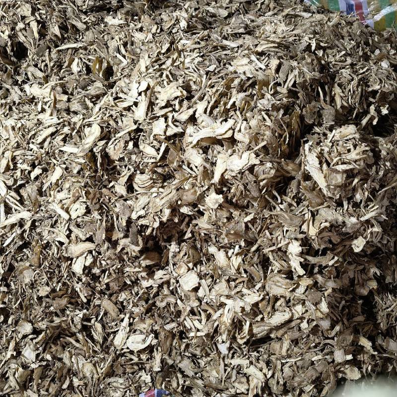 当归头片产地甘肃今年新货实图拍摄量大从优欢迎选