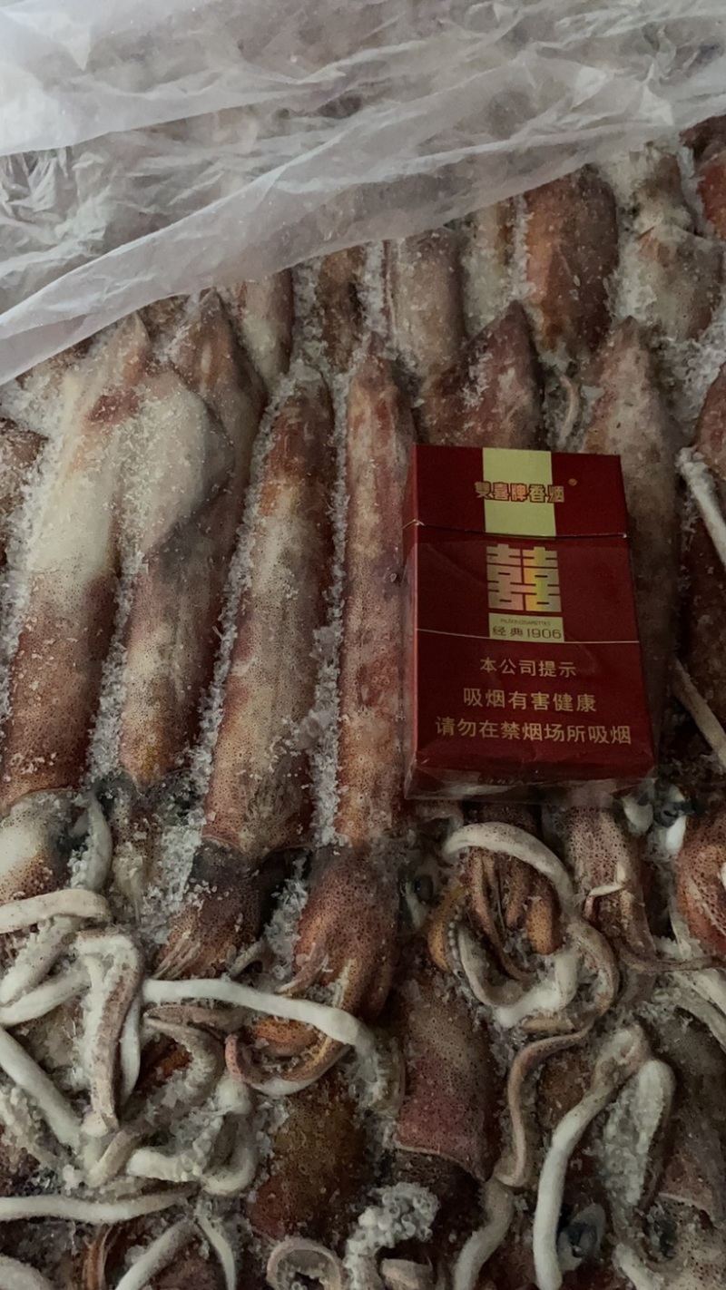 5号尤.