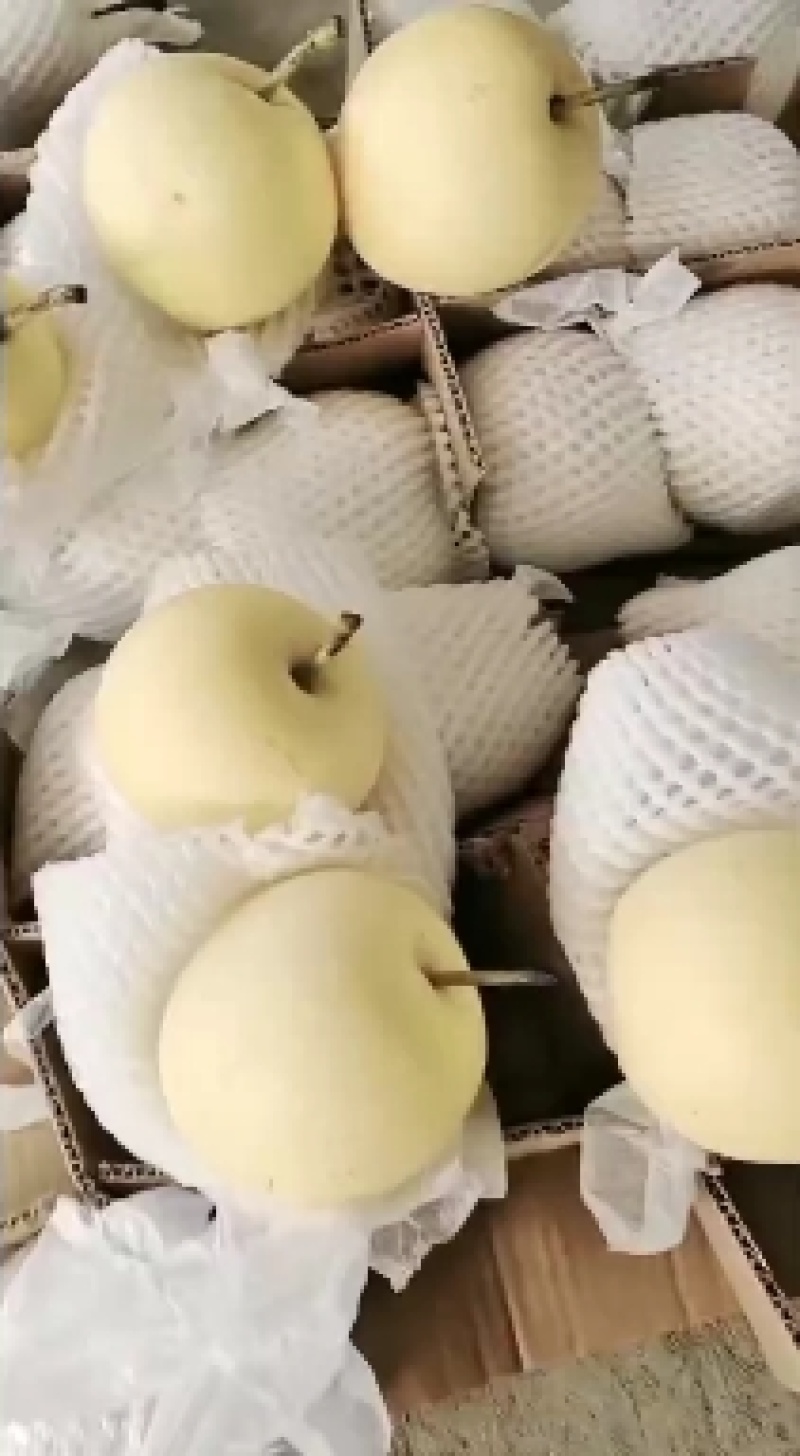 原装袋皇冠梨