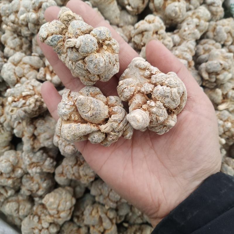 .批发三七田七头子云南文山三七500克三七粉花三七片