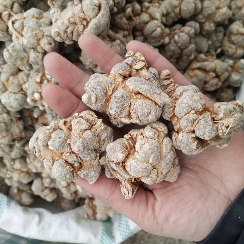 .批发三七田七头子云南文山三七500克三七粉花三七片