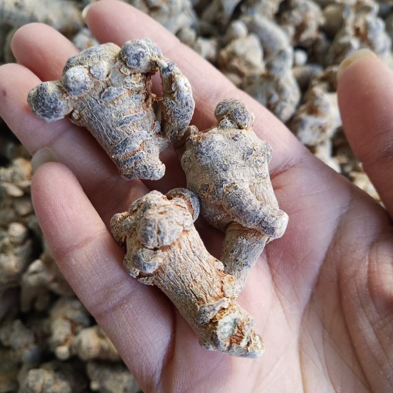 .批发三七田七头子云南文山三七500克三七粉花三七片