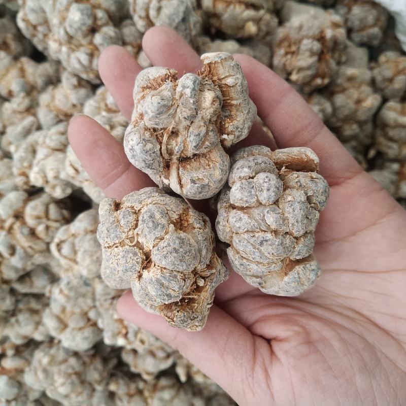 .批发三七田七头子云南文山三七500克三七粉花三七片