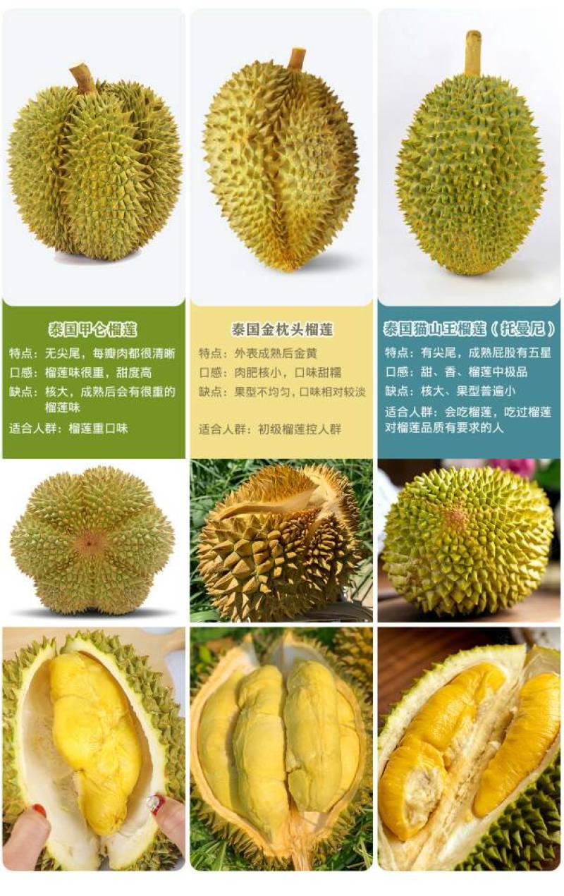 2024泰国甲仑榴莲来了榴莲味浓郁软糯甜蜜品质供货