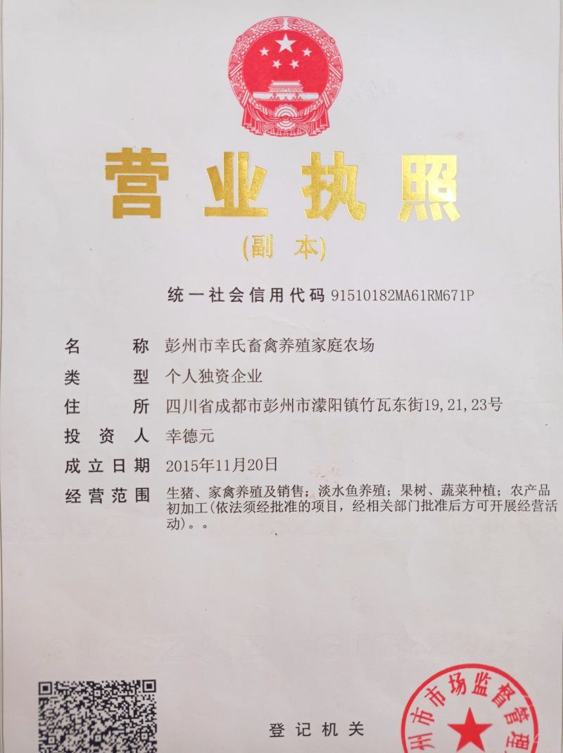 巴马香猪，自繁自养，本场在成都彭州蒙阳镇竹瓦街。